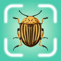 Insect Identifier: Bug Finder